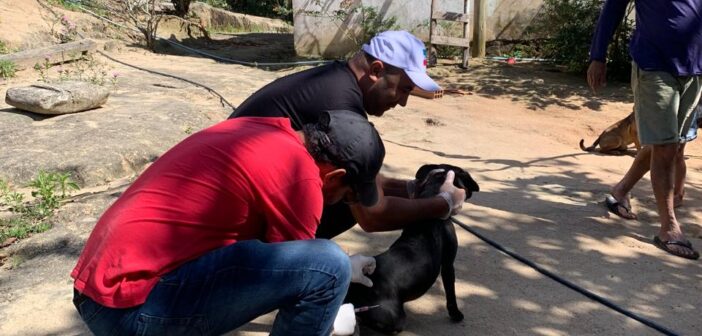 🐶🐱💉 Campanha de Vacinação Contra a Raiva 2025